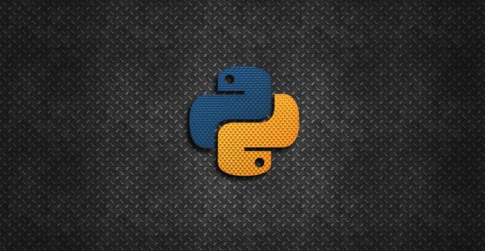Best Python Course in Laxmi Nagar